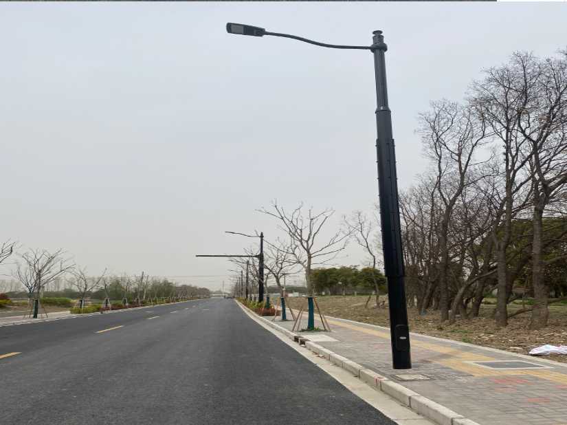 环江毛南族自治县上海综合杆 太阳能路灯工程